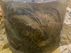 -粮心小农·大头虾亲子生态园(长发店)