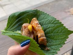-Dombe豚(黑猪肉街店)