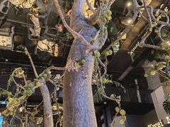 -桂满陇·海市蜃楼·黑金(国金店)