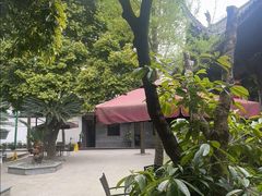 -生宇山珍野生菌汤锅•始于2002(双流古塔店)