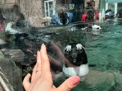 android_upload_pic-新疆天山野生动物园