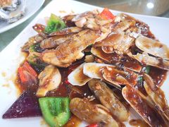 蛏子-鹏城人家海鲜酒家·23年老字号(较场尾店)