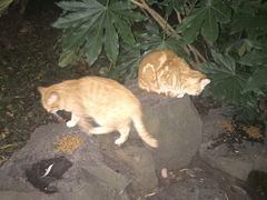 -随柳居·苏式小吃(建新巷店)