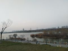 -灞河西岸滨河公园
