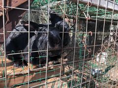 -草根堂农场