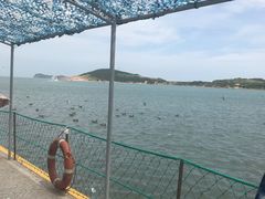 -海驴岛(荣成市)