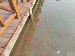 -河北省园博园