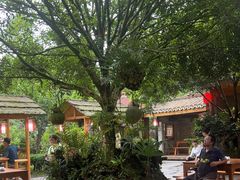 -青城甲(青城山店)