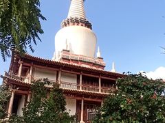 -张掖大佛寺景区