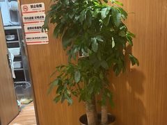 -西贝(财富购物中心店)