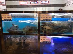 水产区-舒来喜鱼锅(伊河路店)