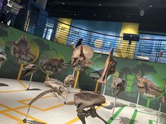 -国家自然博物馆