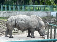 -哈尔滨北方森林动物园