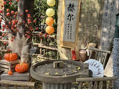 -HERRE·FARM 赫尔露营农场·团建聚会包场