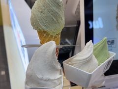 -野人先生现做冰淇淋(西安赛格店)