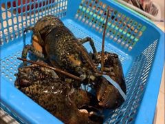 -胖大嫂渔家排档·全海景餐厅(渔村店)