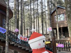 -洛阳白云山景区