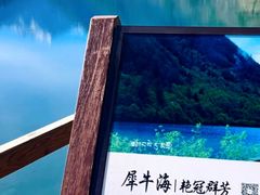 -九寨沟-树正沟