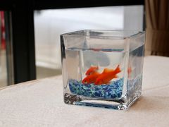 -海鸿荟·沿江菜(中山北路店)