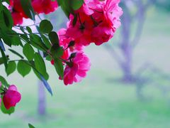 -广富林郊野公园