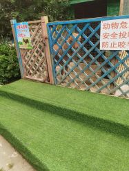 -萌宠亲子动物乐园(槐房万达店)