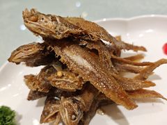 -金米箩大酒店(五角场店)