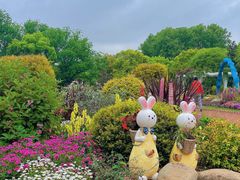 -上海共青森林公园