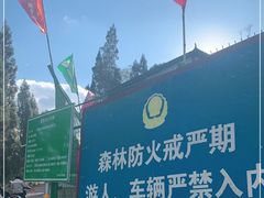 -长虫山生态公园风景林