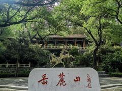 -长沙Y60-SKYLINE天际江景酒店(五一广场店)