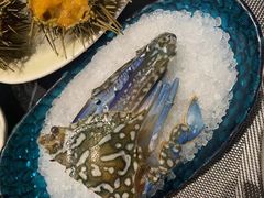 -海鼎荟海鲜姿造(仟禧汇店)