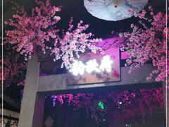 -韵秋荷(宝山龙湖天街店)