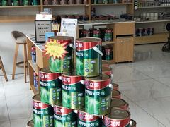 -立邦(武侯区西部专卖店)