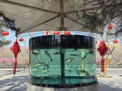 -石家庄市动物园