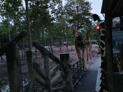 -清迈夜间动物园
