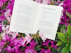 -龙湖重庆时代天街