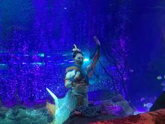 -沈阳海洋探索中心