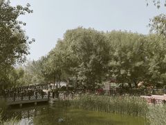 -太阳宫公园