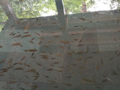 -天目湖御水温泉·度假酒店