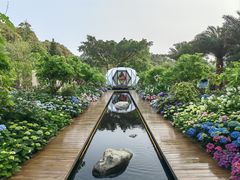 -深圳仙湖植物园