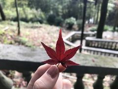 -莫干山风景区