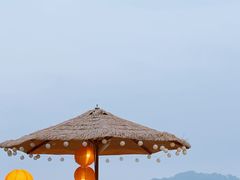 -伴山茶苑·围炉煮茶