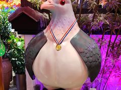 -鸽子张·家宴(黄辛庄旗舰店)