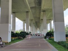 -中澳友谊花园
