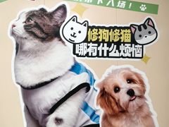 -凯德MALL(望京店)