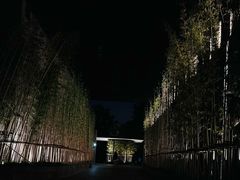 -上海璞麗酒店