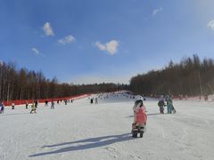 -长白山红松王滑雪场