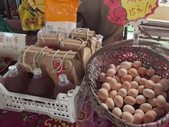 -马陆小张葡萄园农家乐