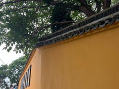 -外蒲山