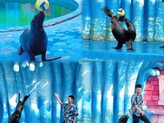 -华夏文旅西安度假区