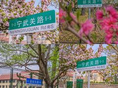 -八大关景区